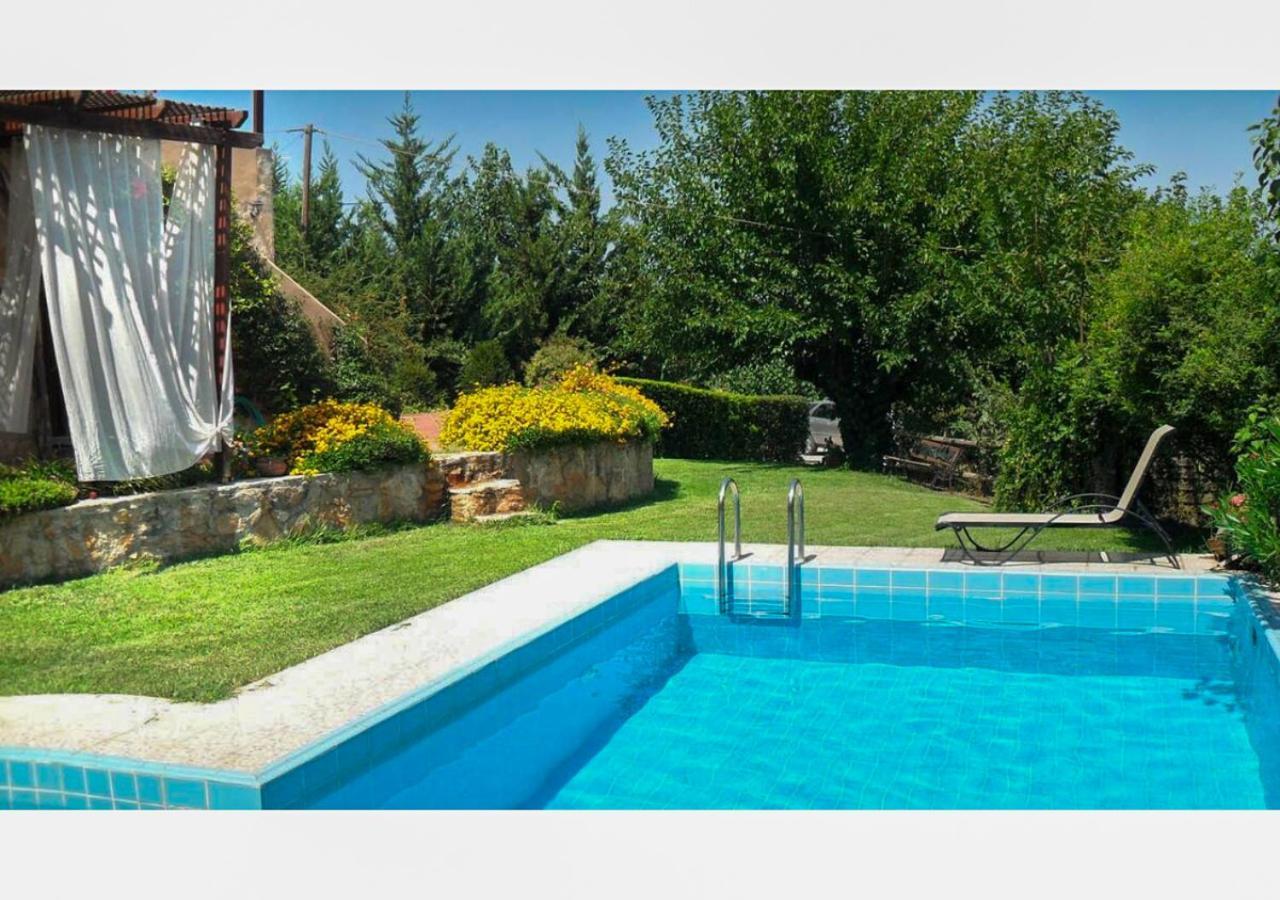 Villa Skine With Private Pool And Garden Chania  Exteriör bild
